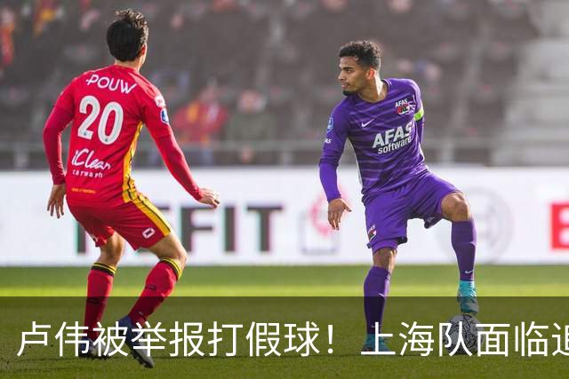 卢伟被举报打假球！上海队面临追罚，张镇麟坑惨球队